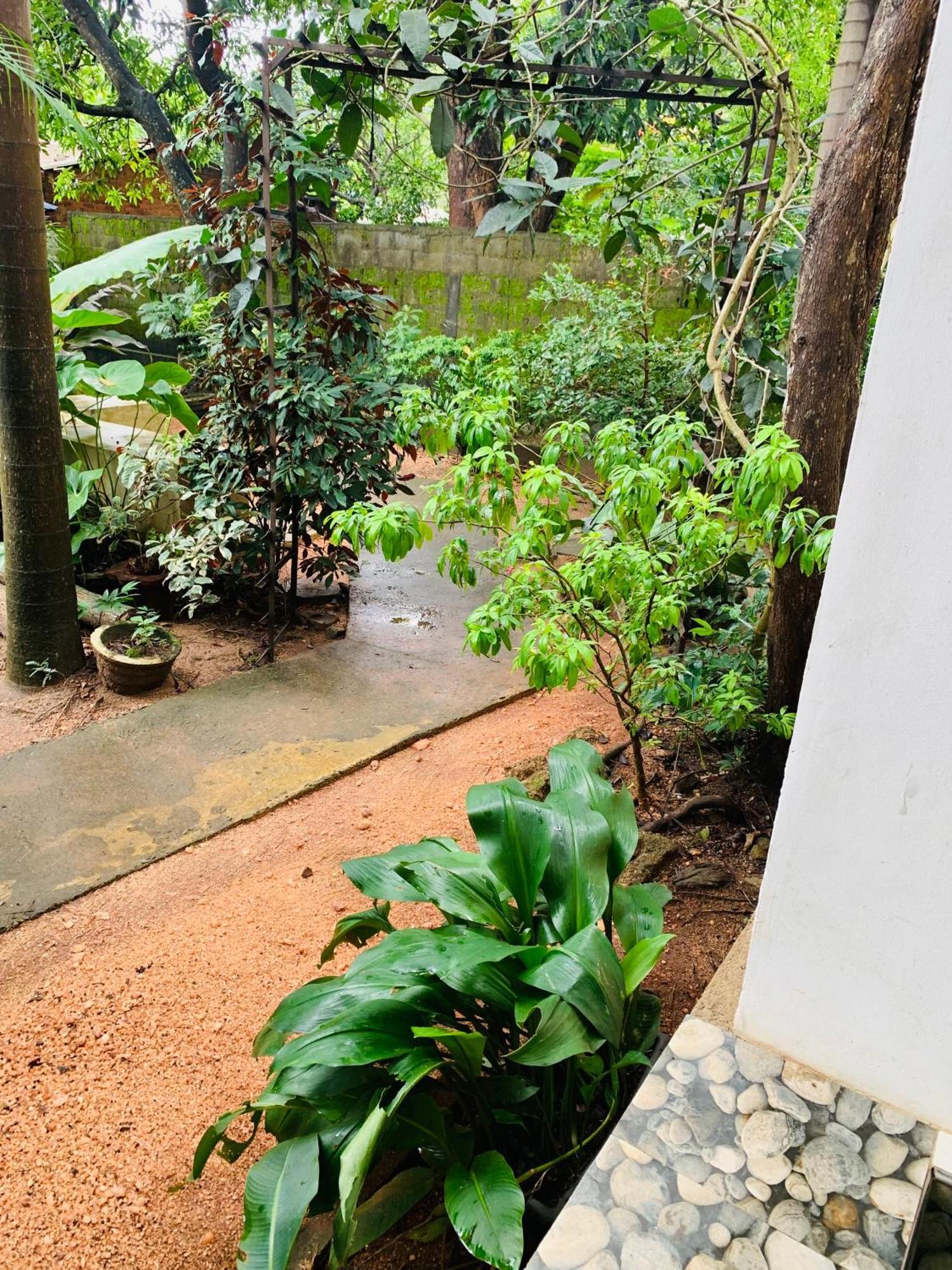 Dambulla Shan Inn Extérieur photo