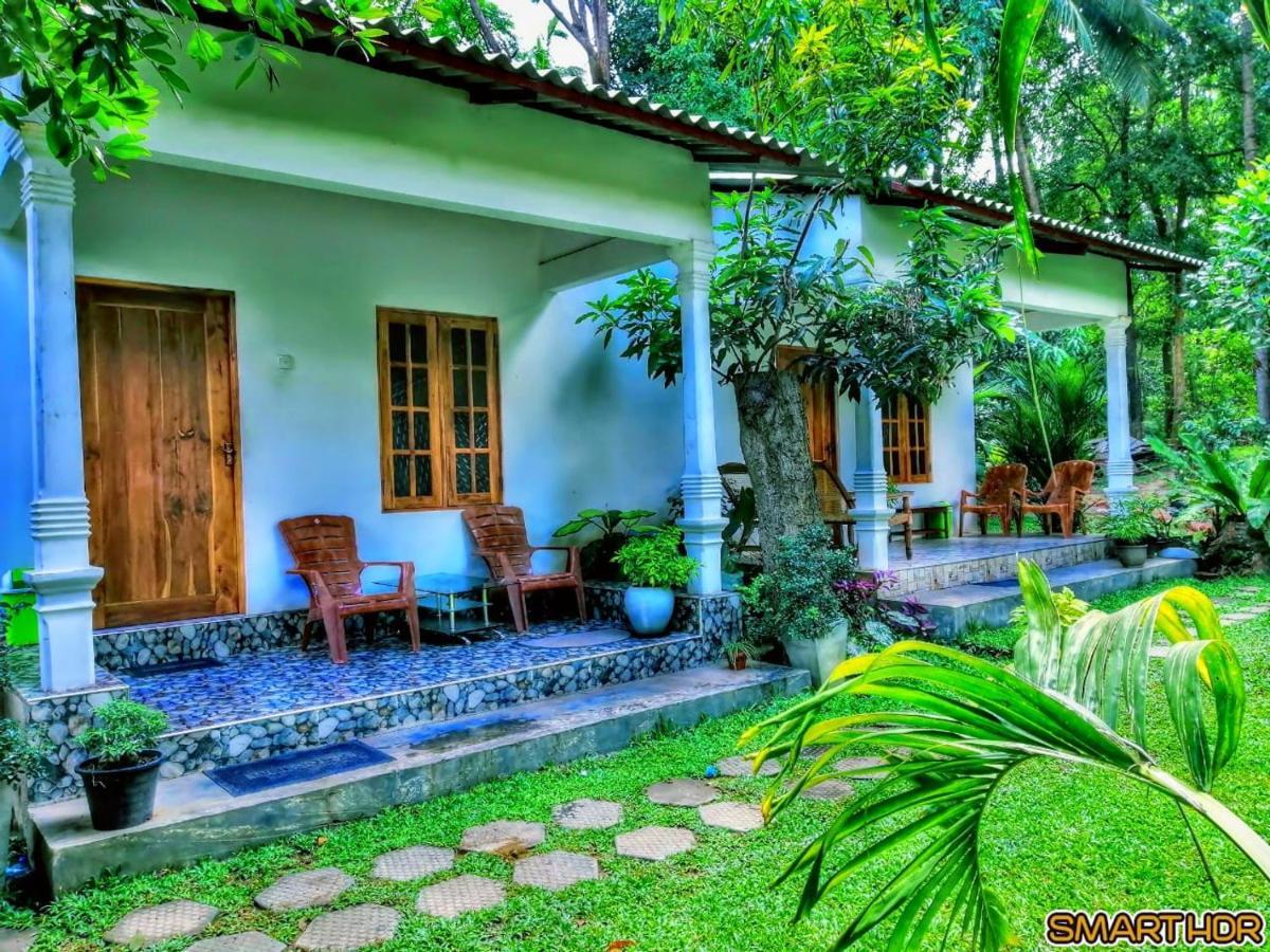 Dambulla Shan Inn Extérieur photo
