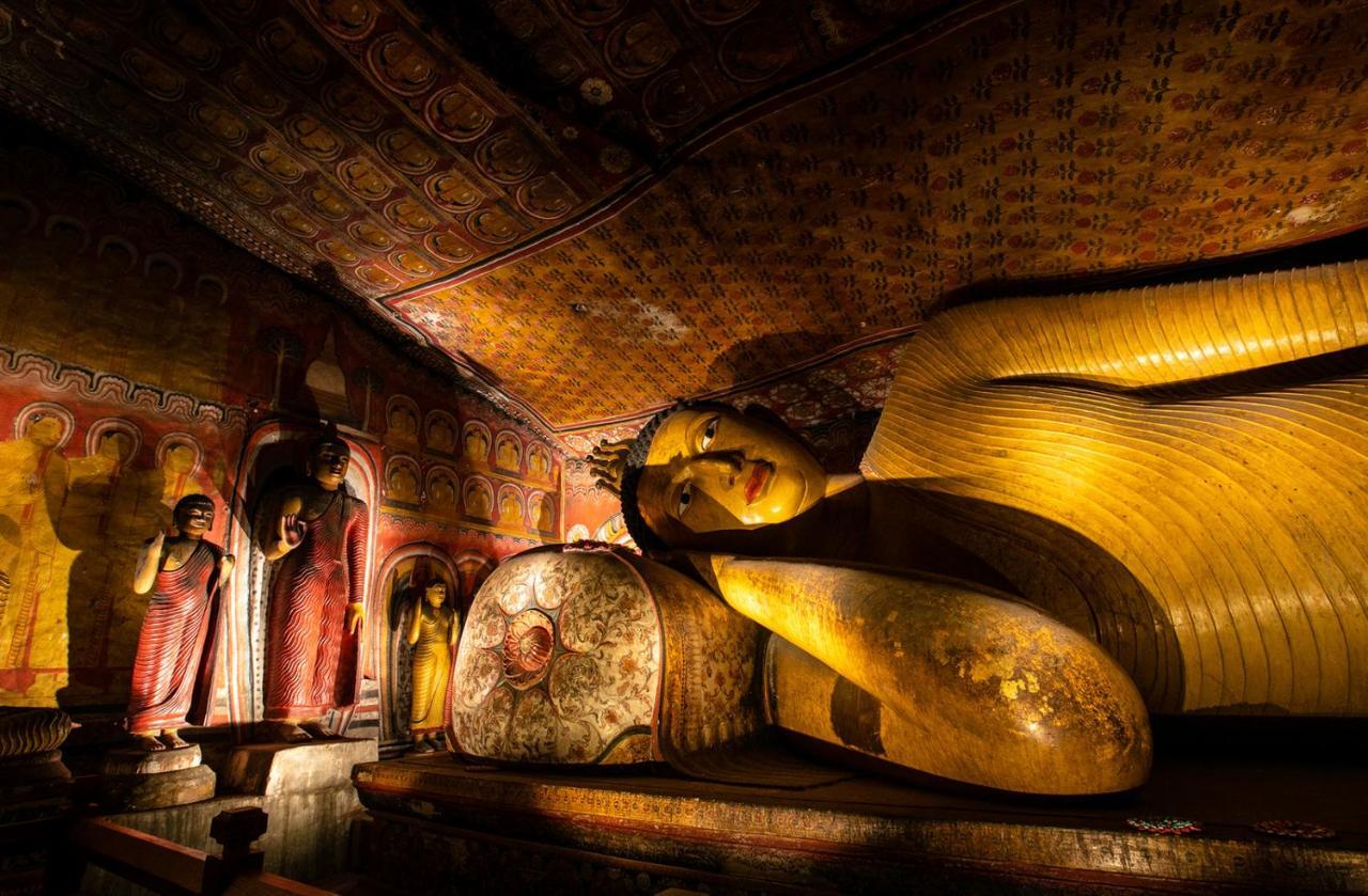 Dambulla Shan Inn Extérieur photo