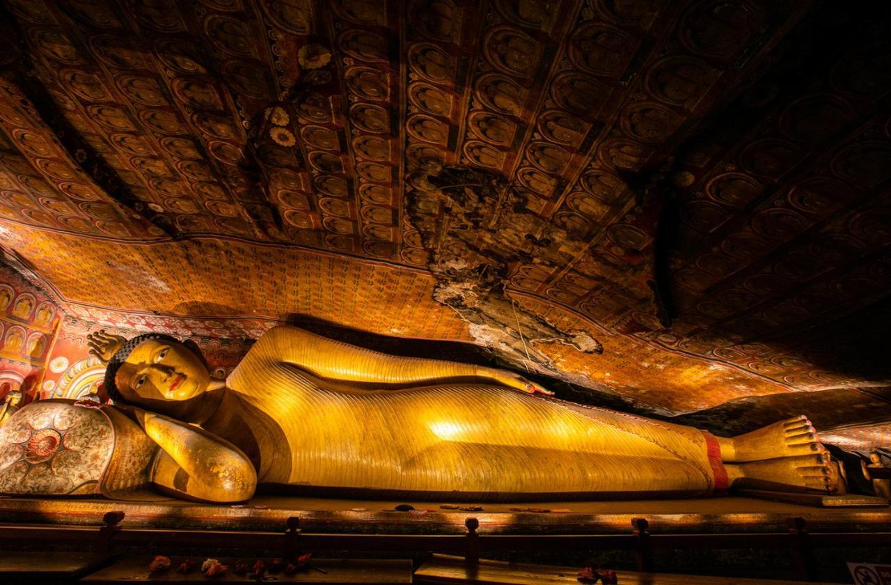 Dambulla Shan Inn Extérieur photo